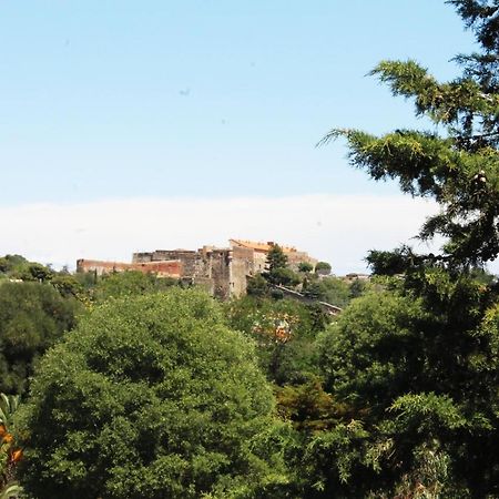 Magnifique Appartement Proche Centre Collioure Exterior foto