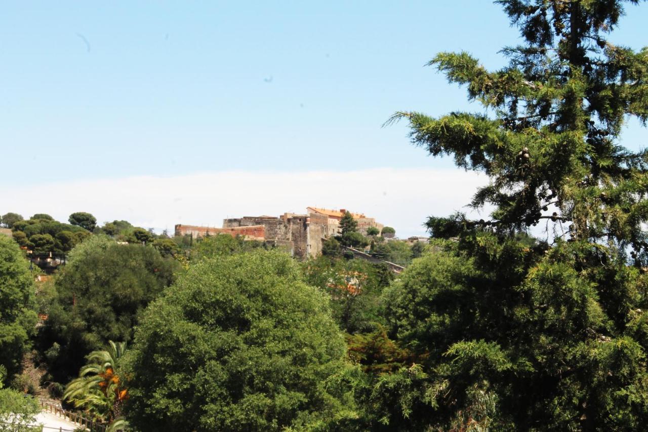 Magnifique Appartement Proche Centre Collioure Exterior foto